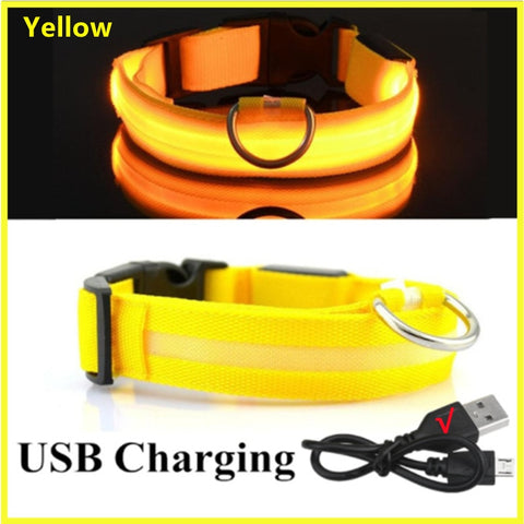 LED Light Up Dog Collar USB Rechargeable, No Batteries!