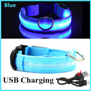 LED Light Up Dog Collar USB Rechargeable, No Batteries!