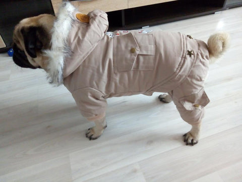 Small Full-Body Dog Coat