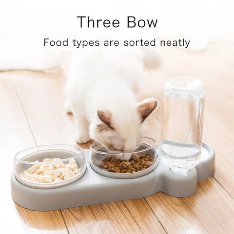 Cat or Dog Food Dish with Water Bottle (3 piece set)